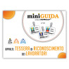 Tessera di Riconoscimento – MiniGuida 01